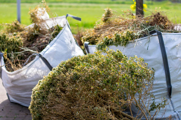 Best Construction Debris Removal  in Haliimaile, HI