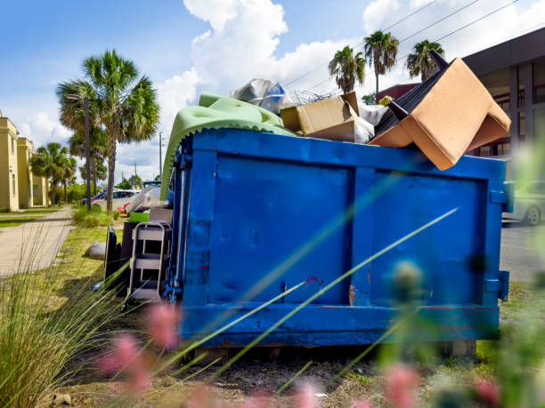 Best Same-Day Junk Removal  in Haliimaile, HI